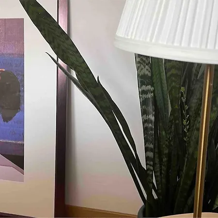 Gemuetliche Yoga-wohnung, Ruhig, & Stadionnaehe Lejlighed